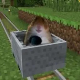 kitmolodoy