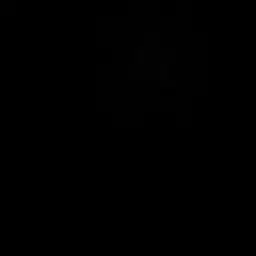leyzpidr