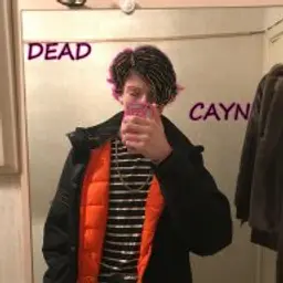 wedfwefwe234