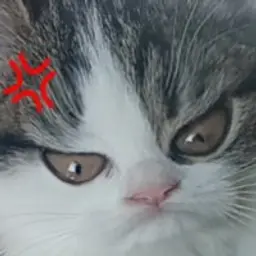 sergejsergey4