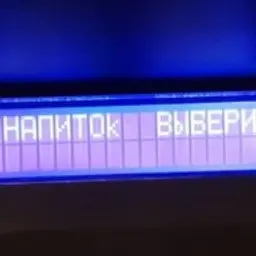 dzerzhy