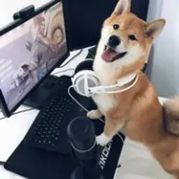 TheIlyaTop