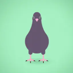 NEDYOR
