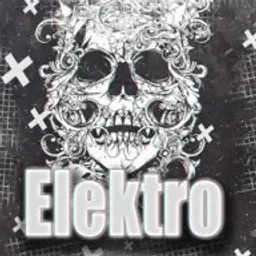 Elektro229