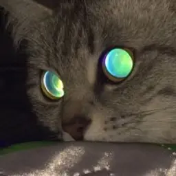 lolskriees