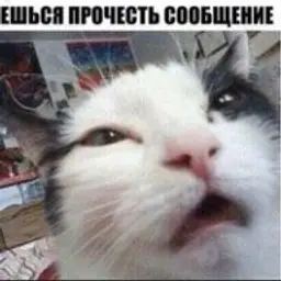 TimkaGames