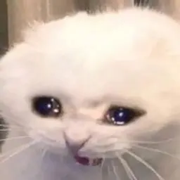 dadada32