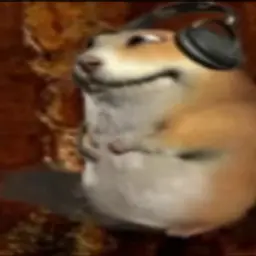 zuhnxd228