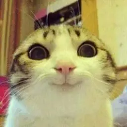 UivyYT
