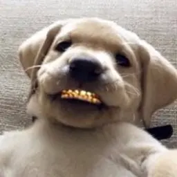 evdeedge