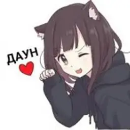 Pyro23356