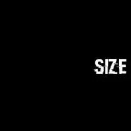 Siz33