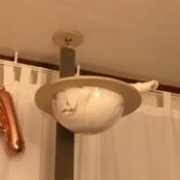 Onalsex