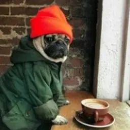 kirill1dolgiy