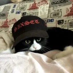 eukleet