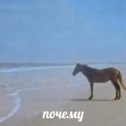 HolopFromTalos