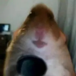 dadadsdsds
