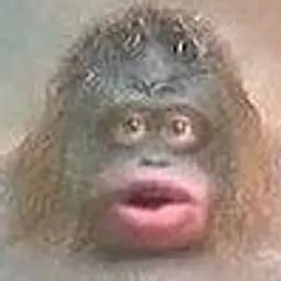 SquirTello