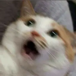 kukusi