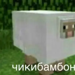 AHAHAC12