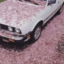 Bakai2800