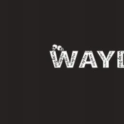 waydims