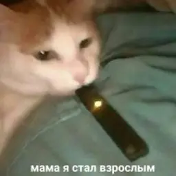 maks99YT