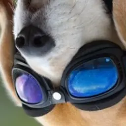 s0bakaaa