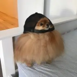 lildebil0