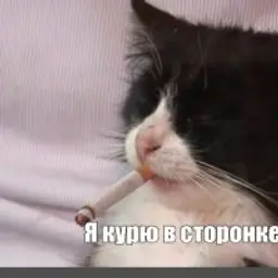 Макс12354543