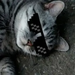 zzzyury