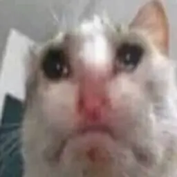 mrleeron2000
