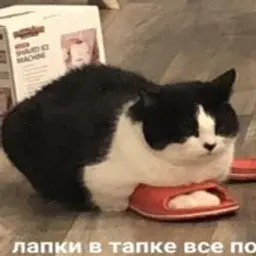 KALYVANCHIK