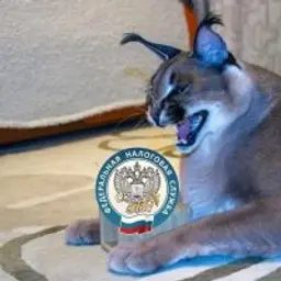 VOSO