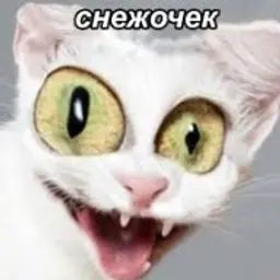lunn