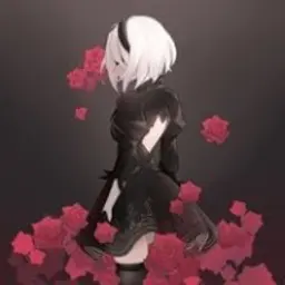 DinFUZI