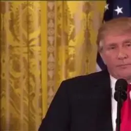 Trumputin