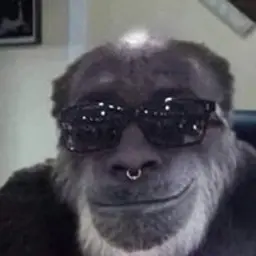 H31z