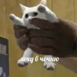 ffdfdsdfsfdsfsd