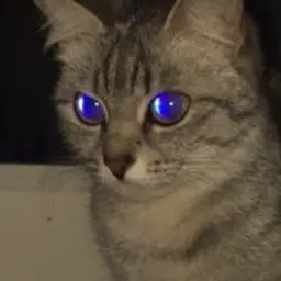 matezo