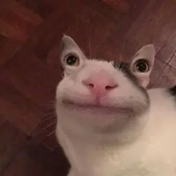 UlanoFF