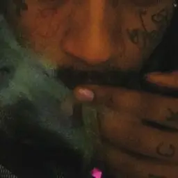 DarkWeis