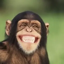 werdjill