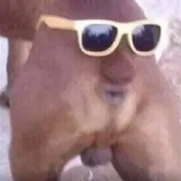 J0k3r1337