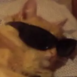 SergeyaDragon