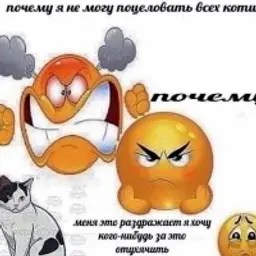 dasadas12377