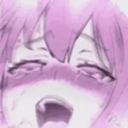 zenfornoooo