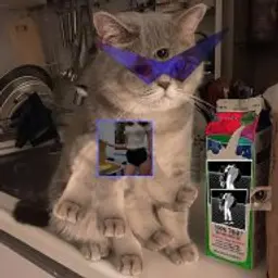 Qqqqqi