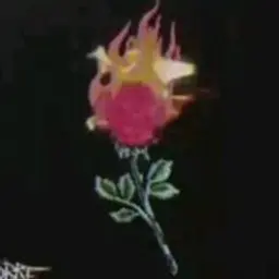 flazek