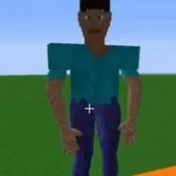 evilcat2